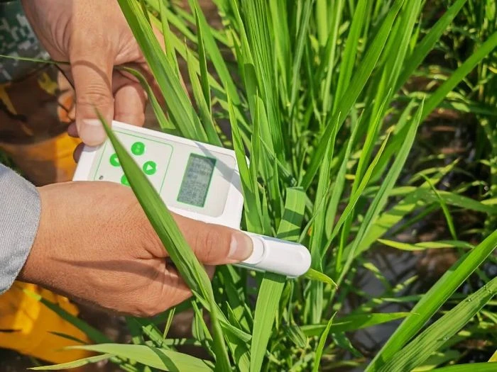 Foliar Fertilizer Testing best